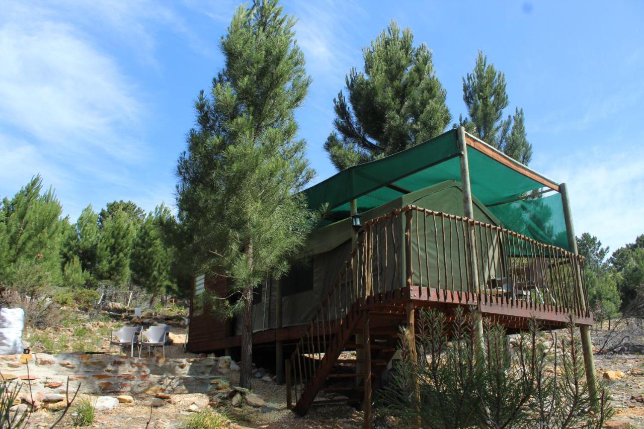 Otium Oasis Glamping & Camping Hartebeesrivier Exterior foto