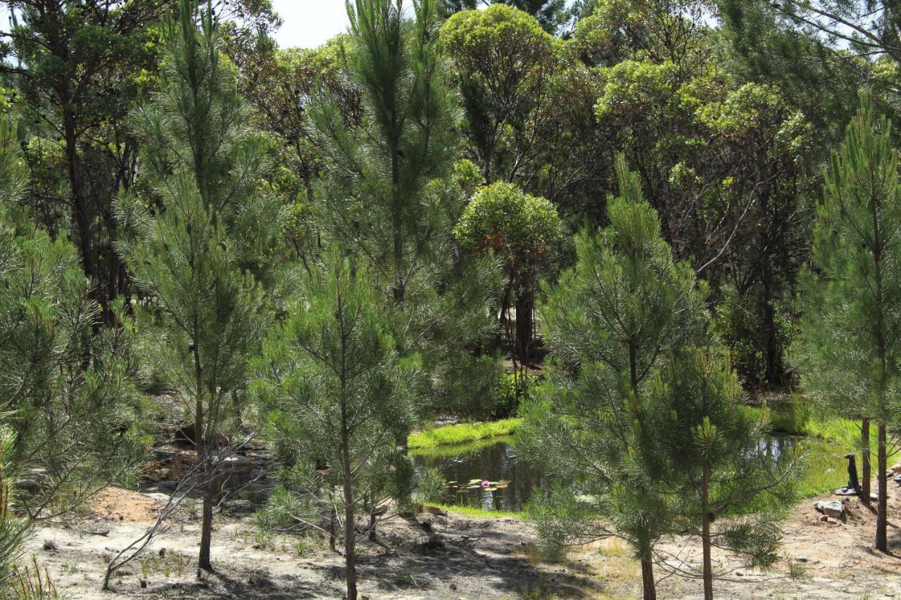Otium Oasis Glamping & Camping Hartebeesrivier Exterior foto
