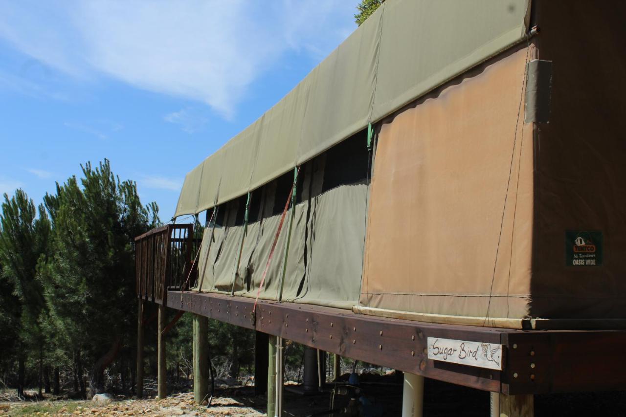 Otium Oasis Glamping & Camping Hartebeesrivier Exterior foto
