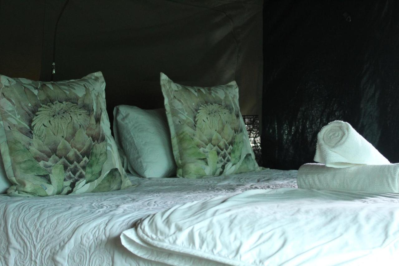 Otium Oasis Glamping & Camping Hartebeesrivier Exterior foto