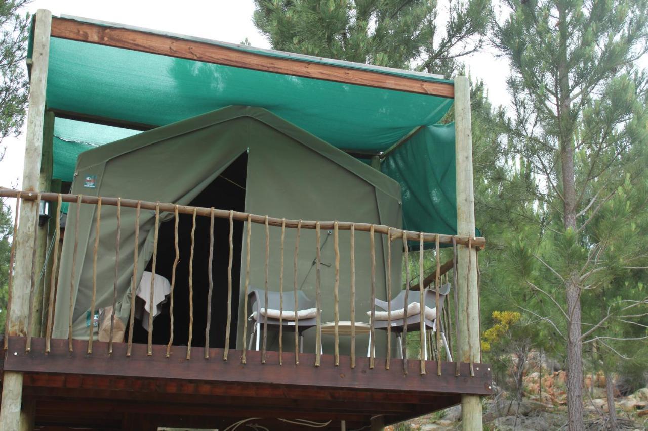 Otium Oasis Glamping & Camping Hartebeesrivier Exterior foto
