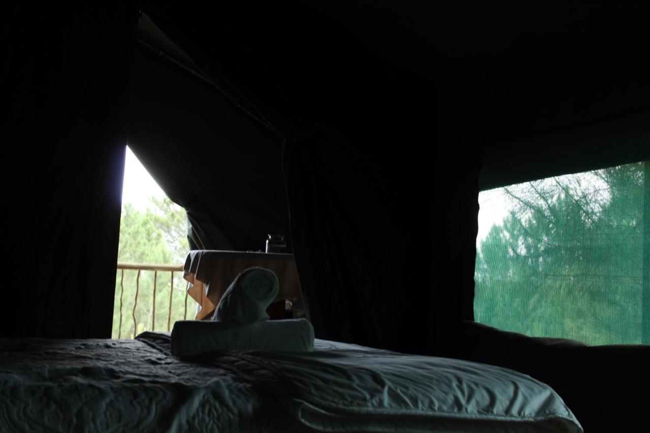 Otium Oasis Glamping & Camping Hartebeesrivier Exterior foto