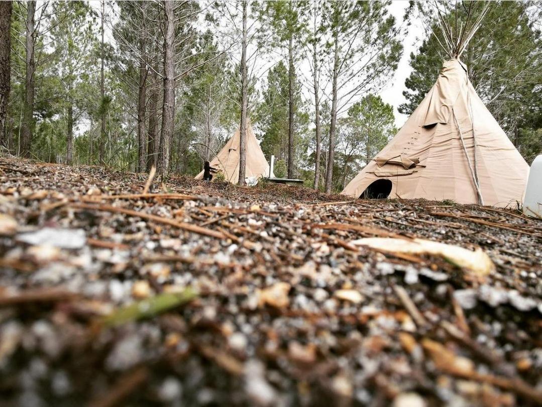 Otium Oasis Glamping & Camping Hartebeesrivier Exterior foto