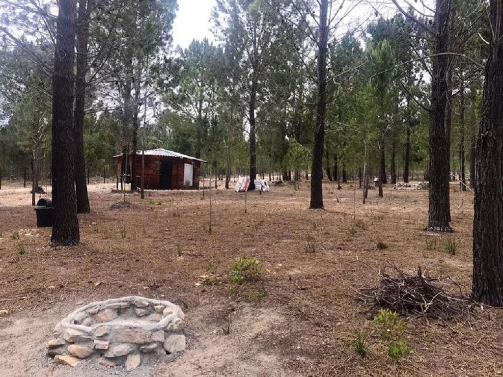 Otium Oasis Glamping & Camping Hartebeesrivier Exterior foto