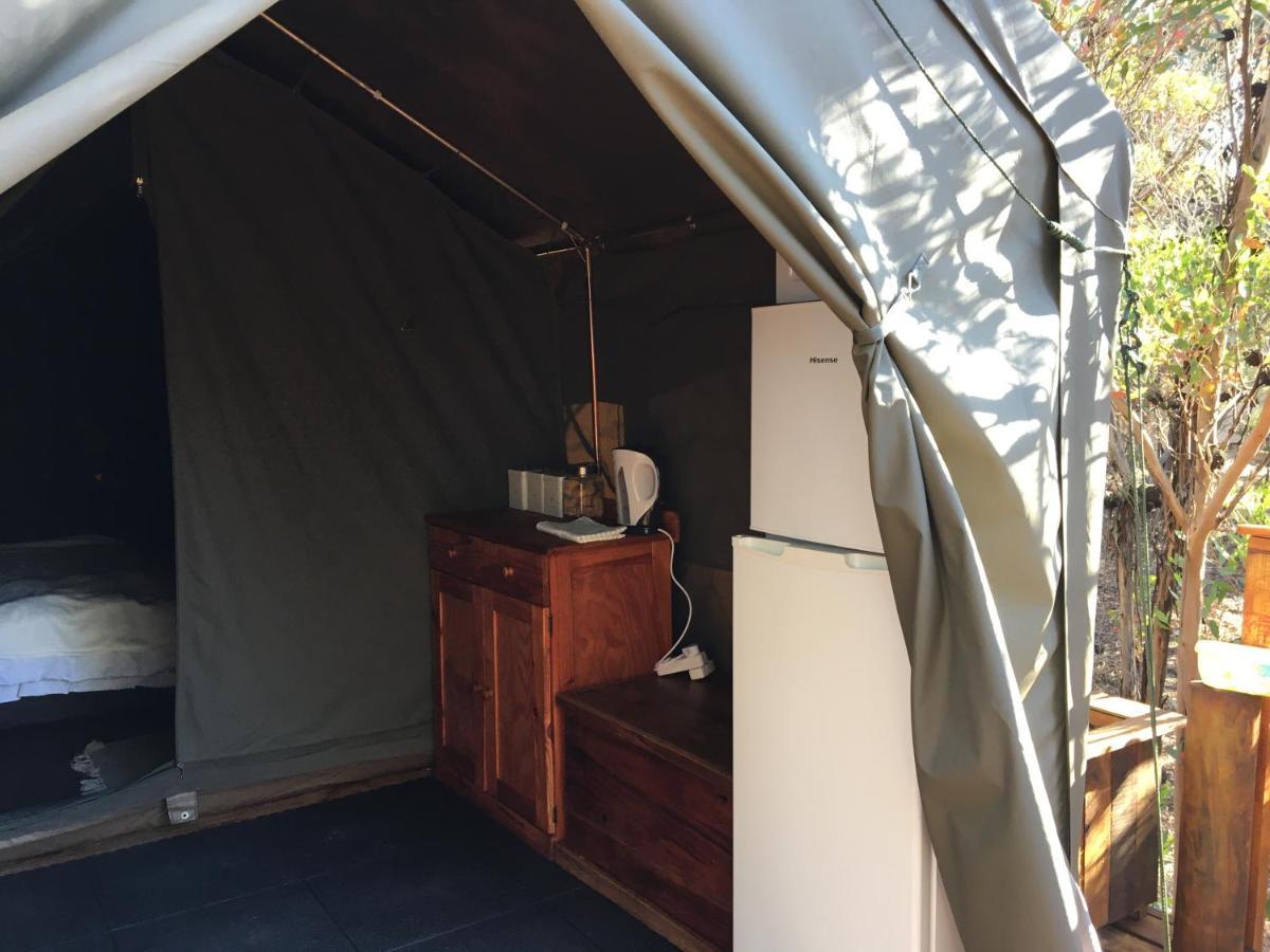 Otium Oasis Glamping & Camping Hartebeesrivier Exterior foto