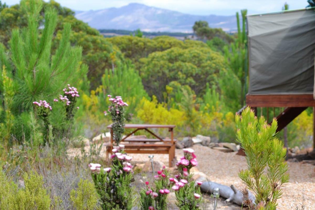 Otium Oasis Glamping & Camping Hartebeesrivier Exterior foto