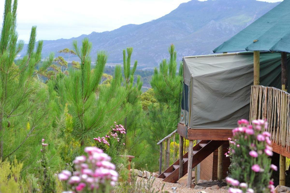 Otium Oasis Glamping & Camping Hartebeesrivier Exterior foto